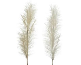 Ivory plume stem assorted