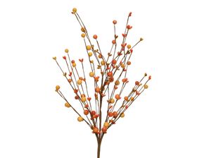 Seabuckthorn Spray Stem