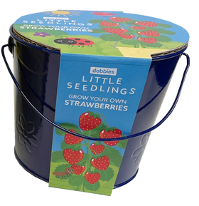 Little Seedlings Grow Your Own Strawberries