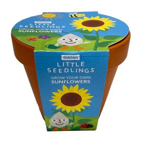 Little Seedlings GYO sunflower
