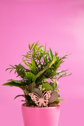 Mother's day gift arrangement