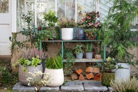 Winter Gardening Planter Lifestyle