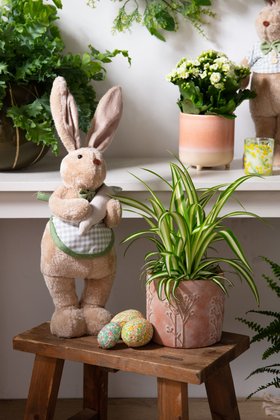 Easter 2026 Lifestyles