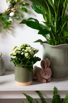 Easter 2026 Lifestyles