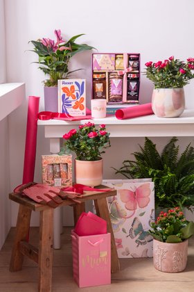 Mother's Day 2026 Lifestyle image