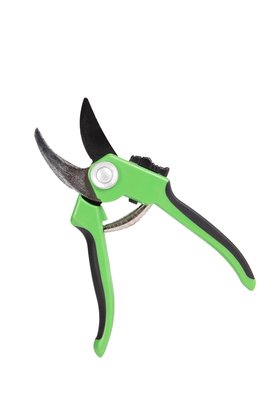 Dobbies own brand secateurs