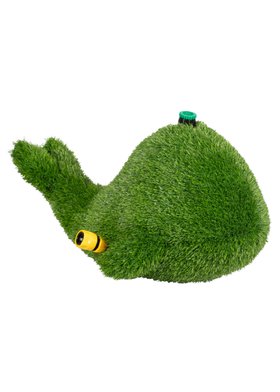 Grass spraying whale