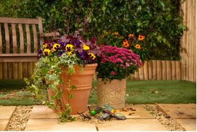 Autumn gardening