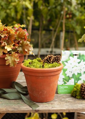 Autumn gardening