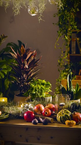 Gothic Plants