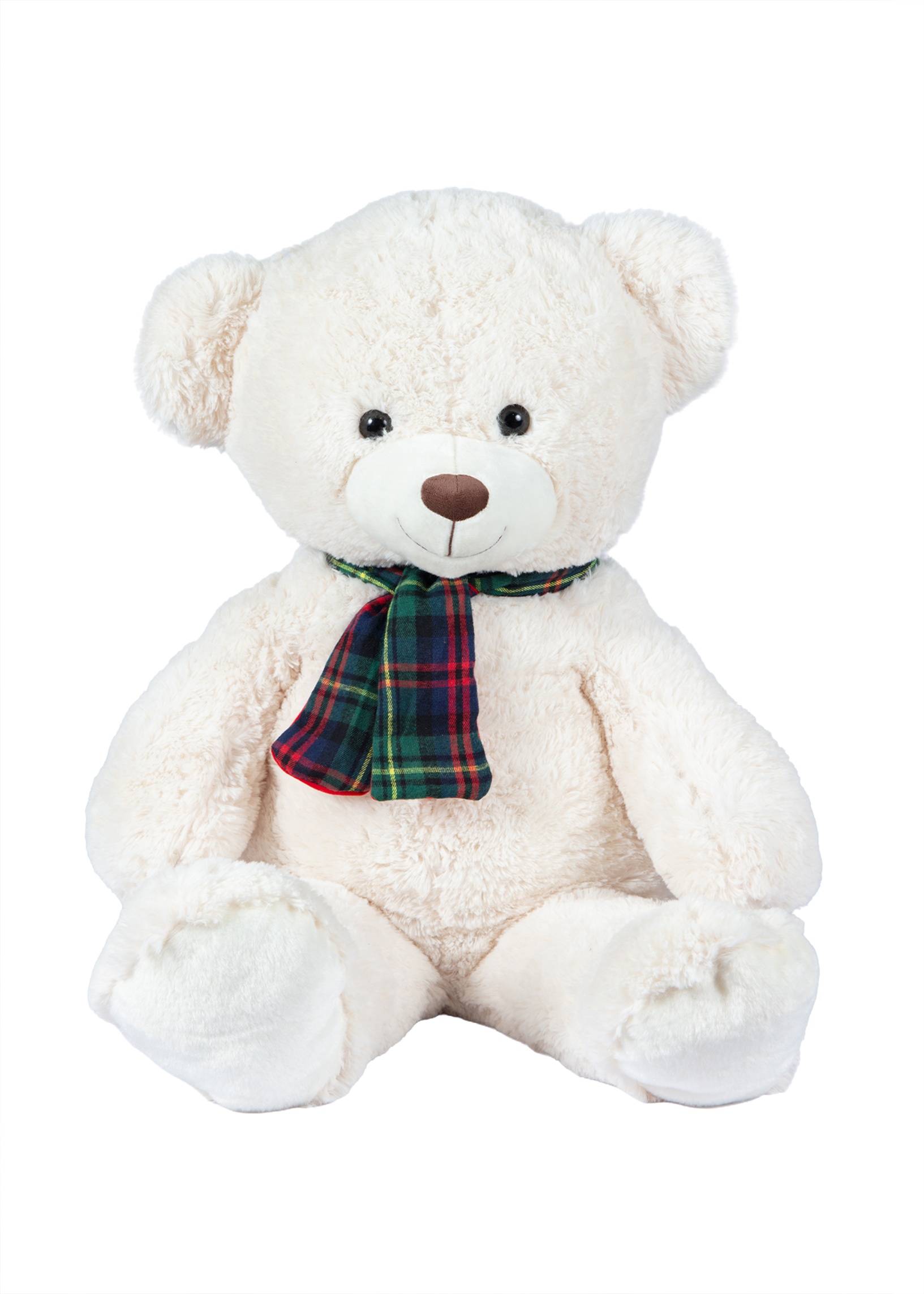 Sitting Bear