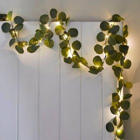 Eucalyptus String Lights