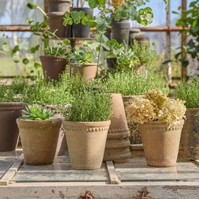 Terracotta Plant Pot Lace