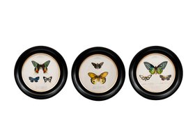 French Bedroom_Butterfly Wall Art Trio_£75