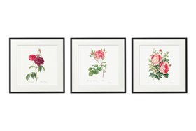 French Bedroom_Set of 3 Rose Wall Art_£65