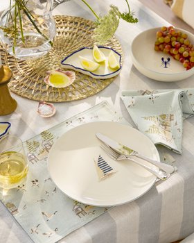 Sea Birds Washable Placemats (Set of 2)