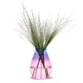 Peleg Design Twotone Glass Vase (Pink/Blue)