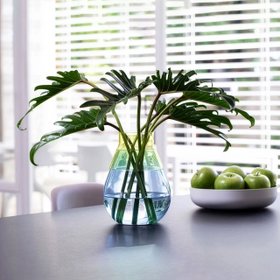 Peleg Design TwoTone Glass Vase (Blue/Yellow)