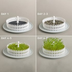 Peleg Design Seed Field – Seed Sprouter