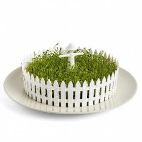 Peleg Design Seed Field – Seed Sprouter