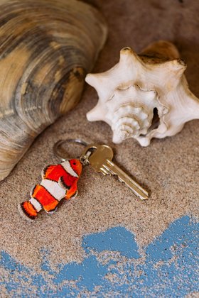 An Ocean Icon – The Hand-Carved Clownfish Keyring by Wildlife Garden