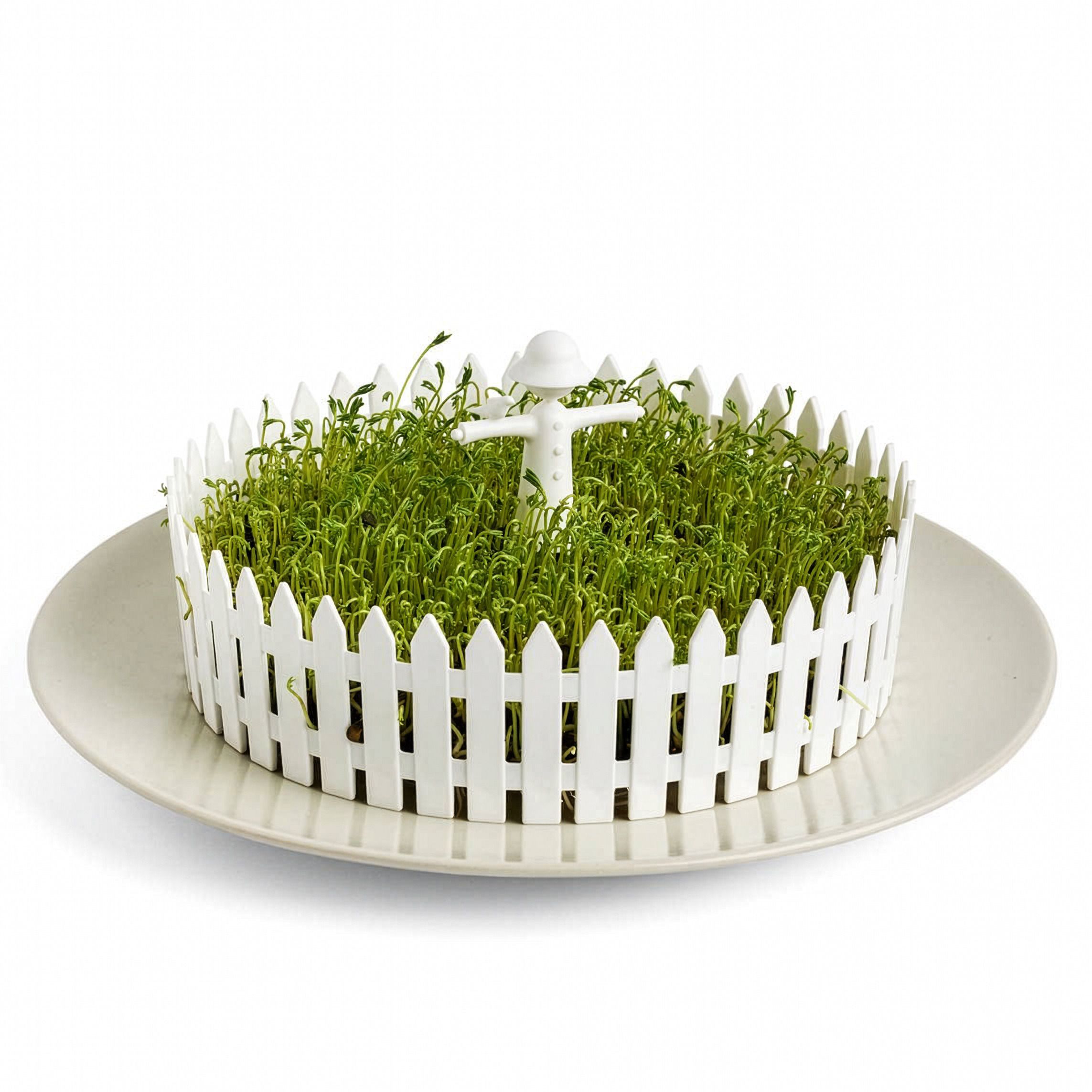 Peleg Design Seed Field – Seed Sprouter