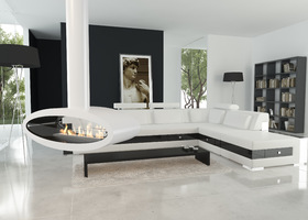 Decoflame Ellipse bioethanol ceiling fire