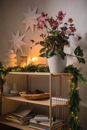 LECHUZA CLASSICO Color 28 Sandbraun