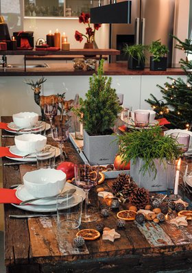 LECHUZA CANTO 14 Stone