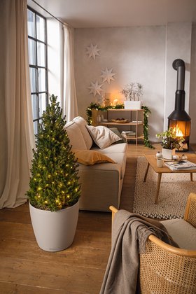 LECHUZA CLASSICO Color 60