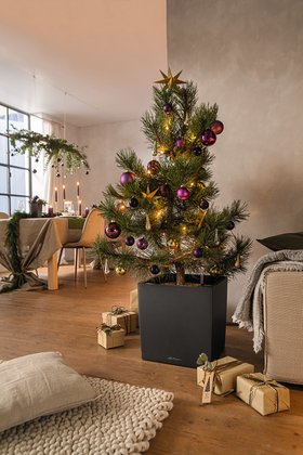 LECHUZA CUBE Premium 40