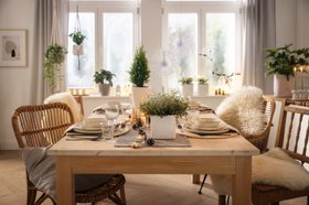 LECHUZA Glossy Weihnachten