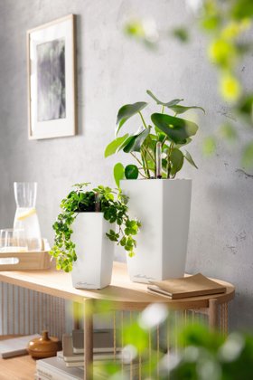 LECHUZA MINI-CUBI / MAXI-CUBI