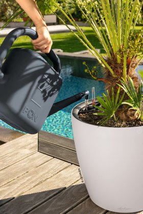 LECHUZA CLASSICO LS 50, MOJA Gießkanne