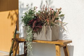 LECHUZA BALCONERA Stone 50 Sandb Arrangement 2022