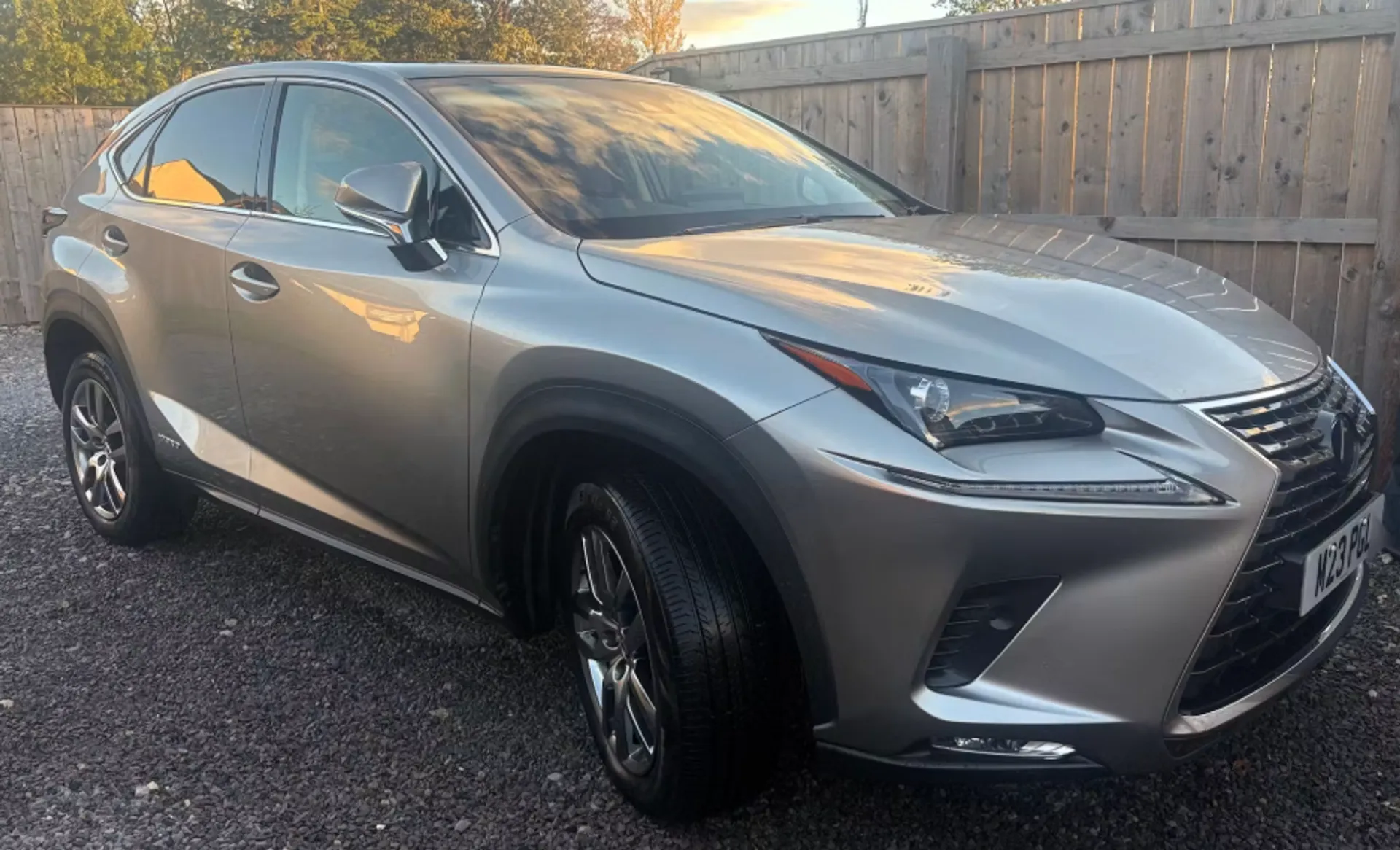 2020 LEXUS NX for sale