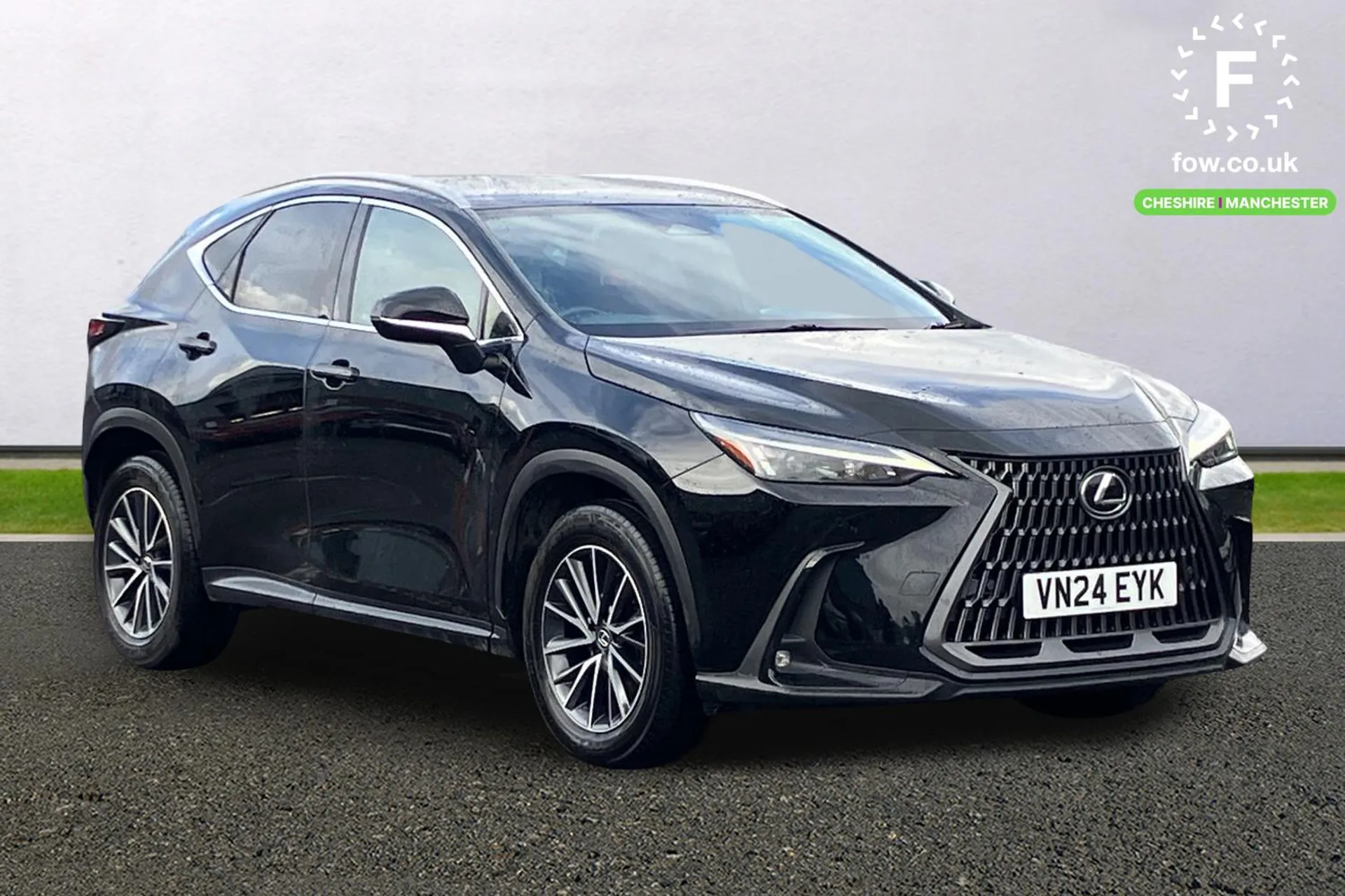 2024 LEXUS NX for sale