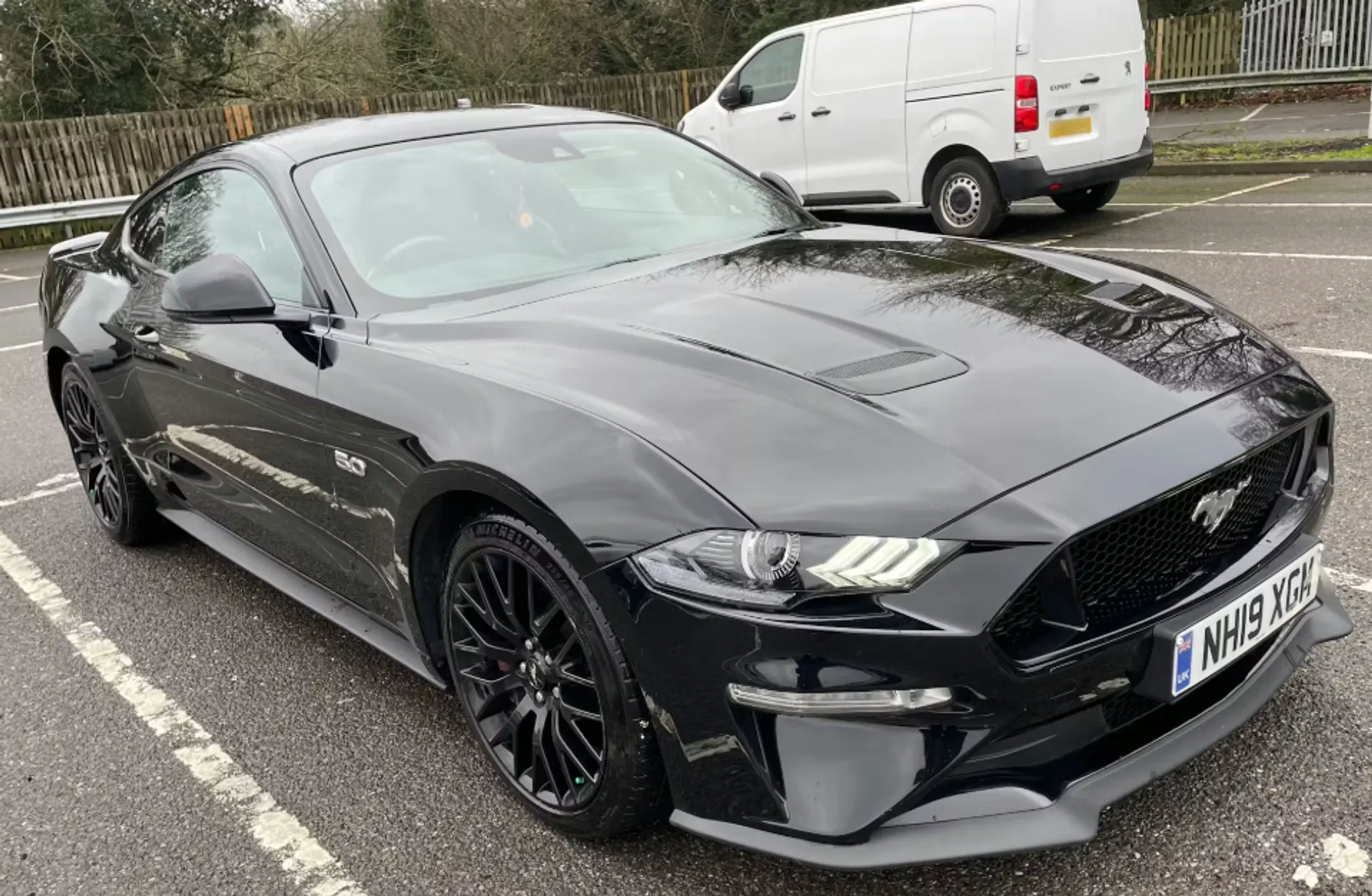 2019 FORD MUSTANG for sale