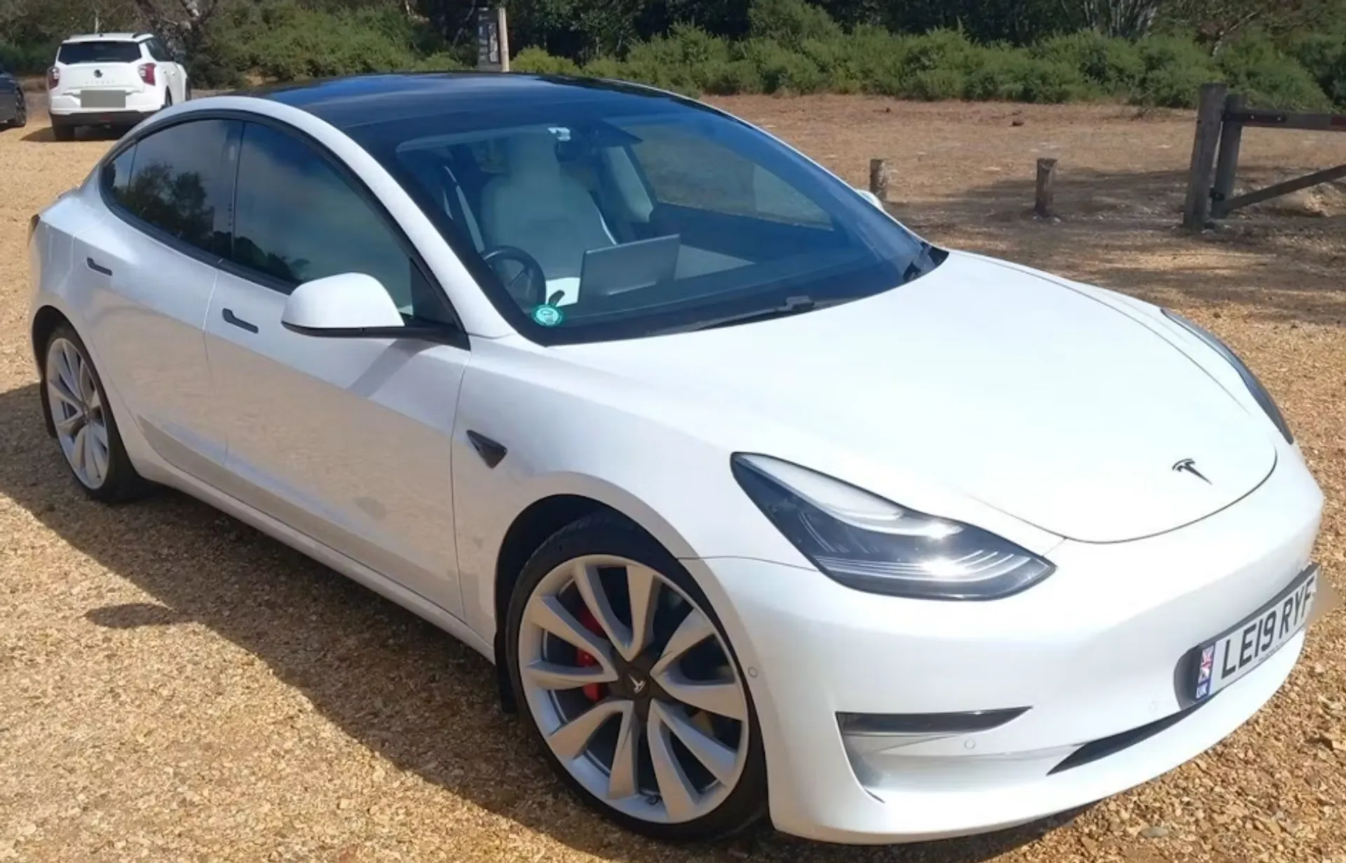 2019 TESLA MODEL 3 for sale