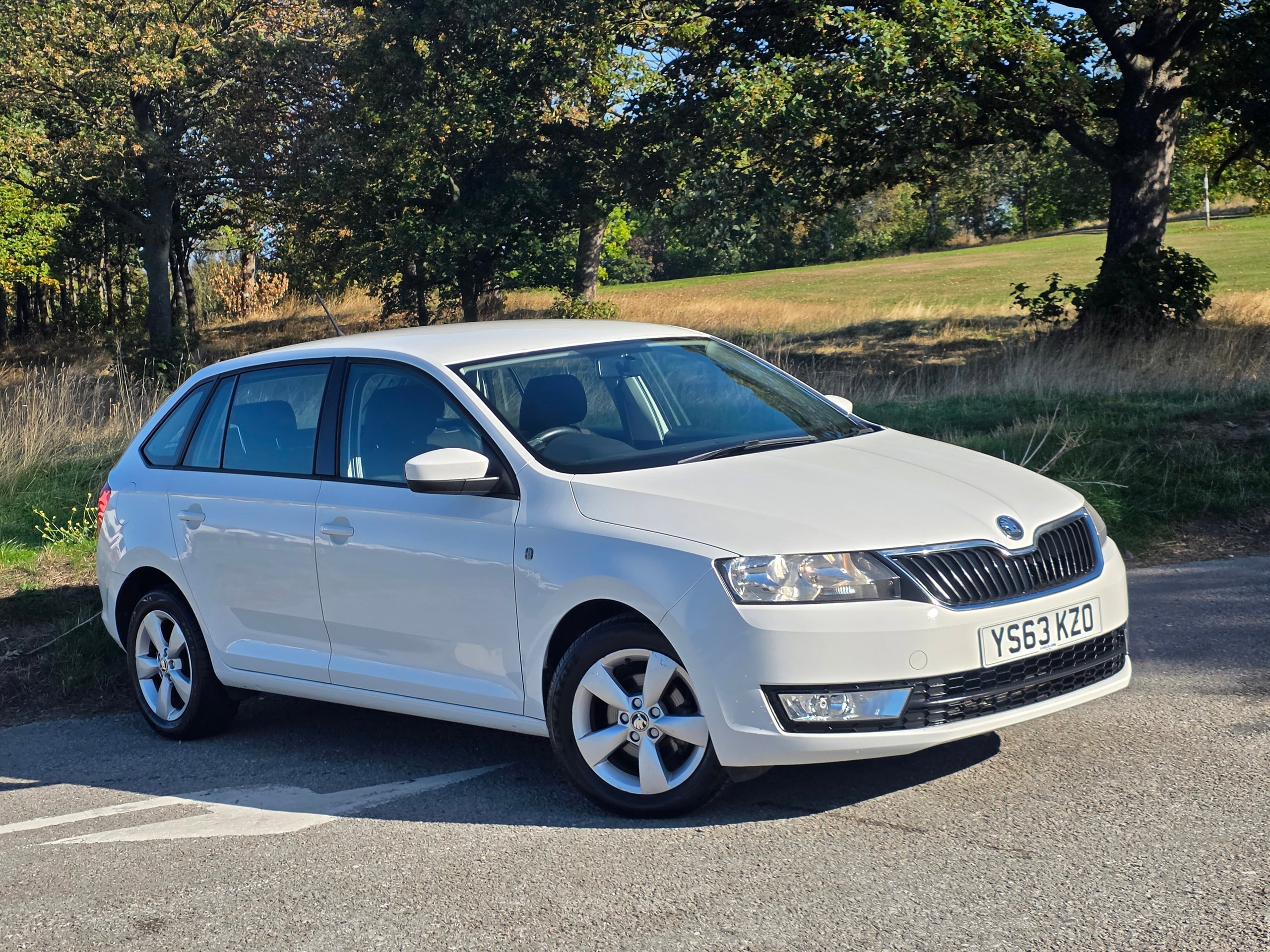 2013 SKODA RAPID SPACEBACK for sale