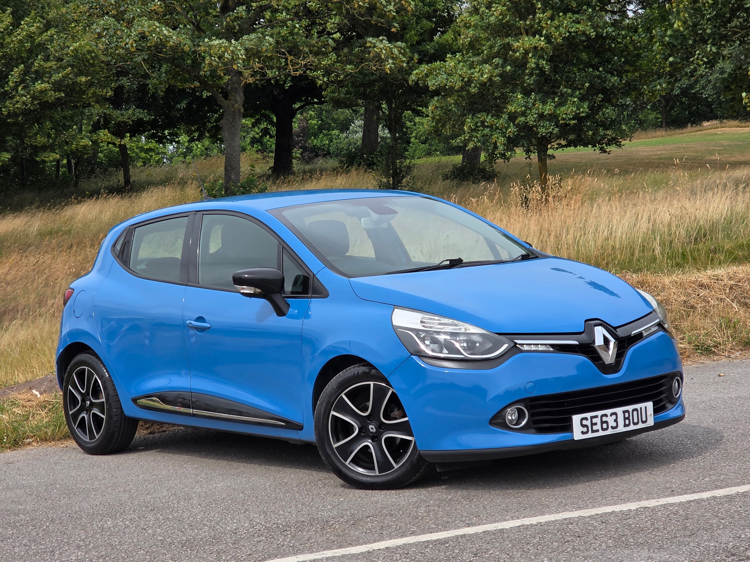 2014 RENAULT CLIO for sale