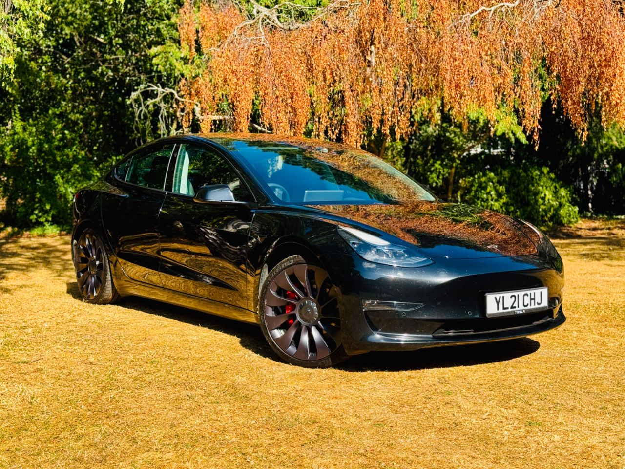 2021 TESLA MODEL 3 for sale