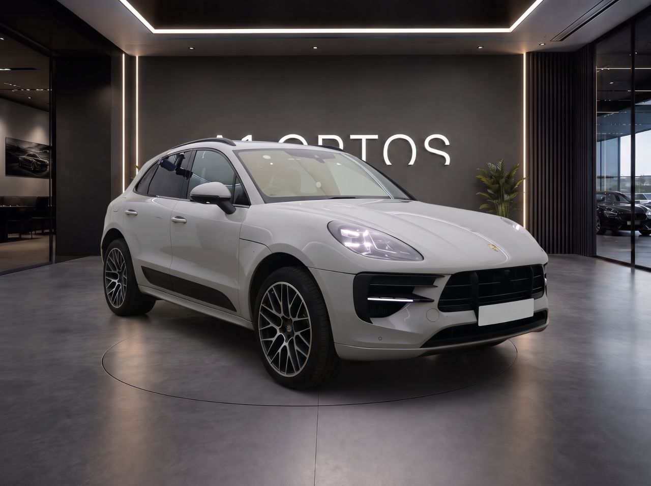 2019 PORSCHE MACAN for sale