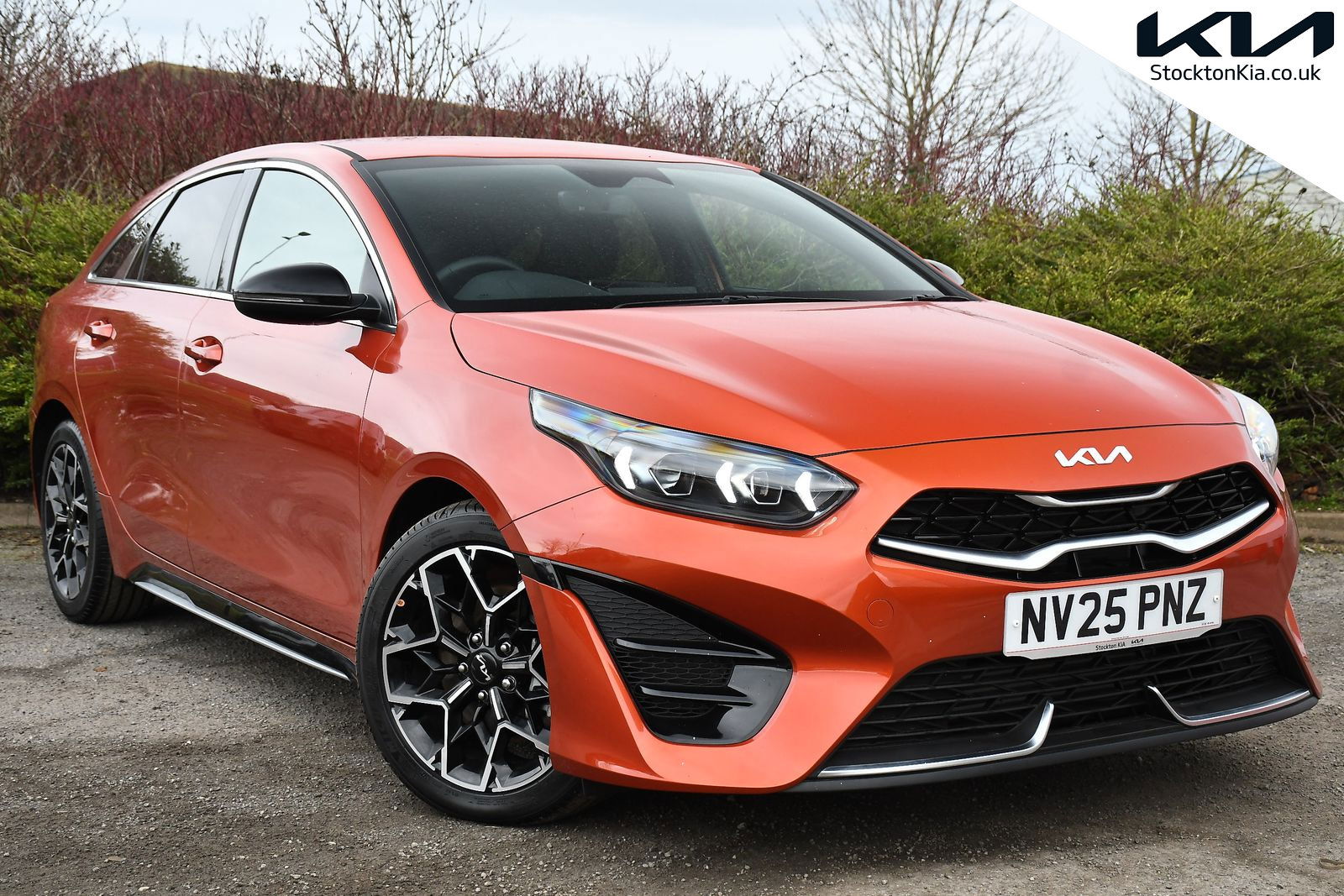 2025 KIA PROCEED for sale