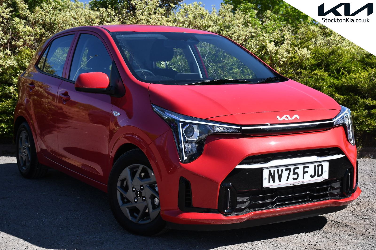 2025 KIA PICANTO for sale