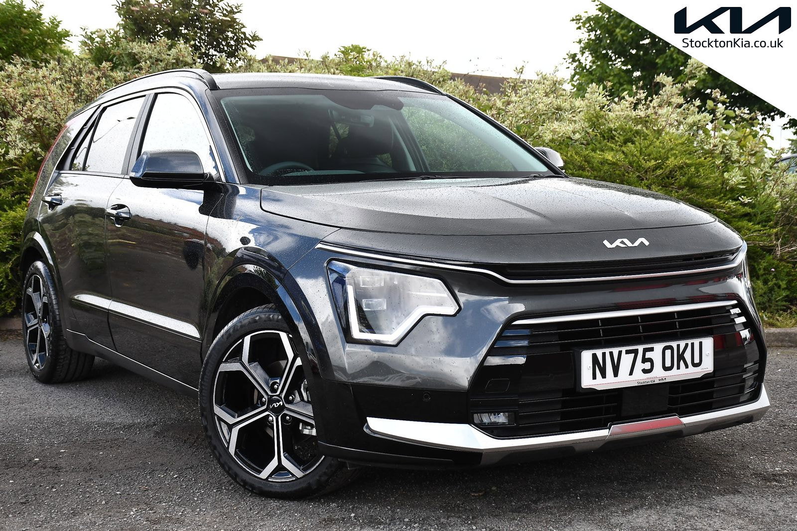 2026 KIA NIRO for sale