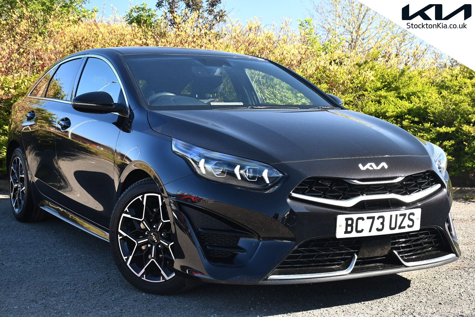 2024 KIA PROCEED for sale