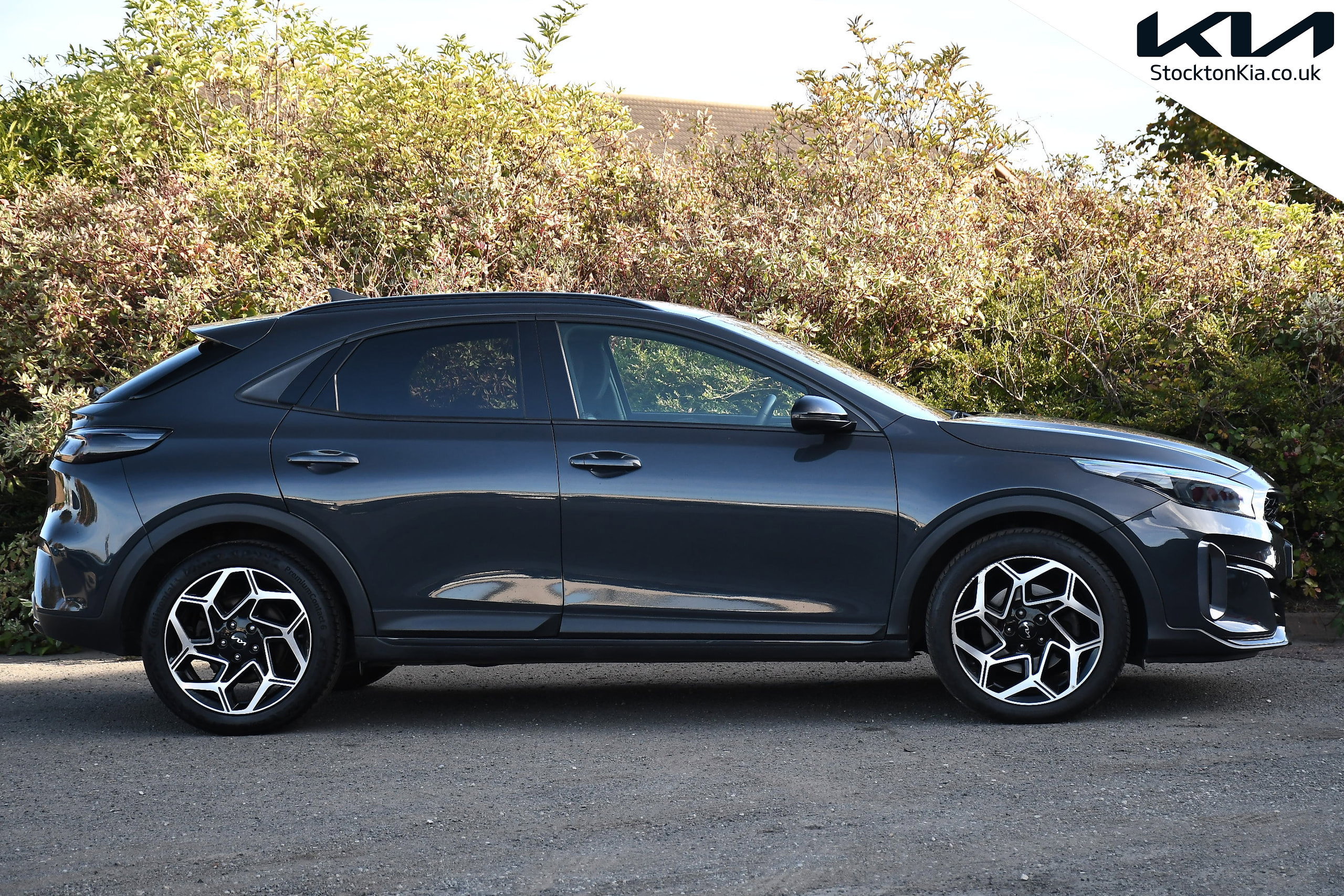 2023 KIA XCEED for sale