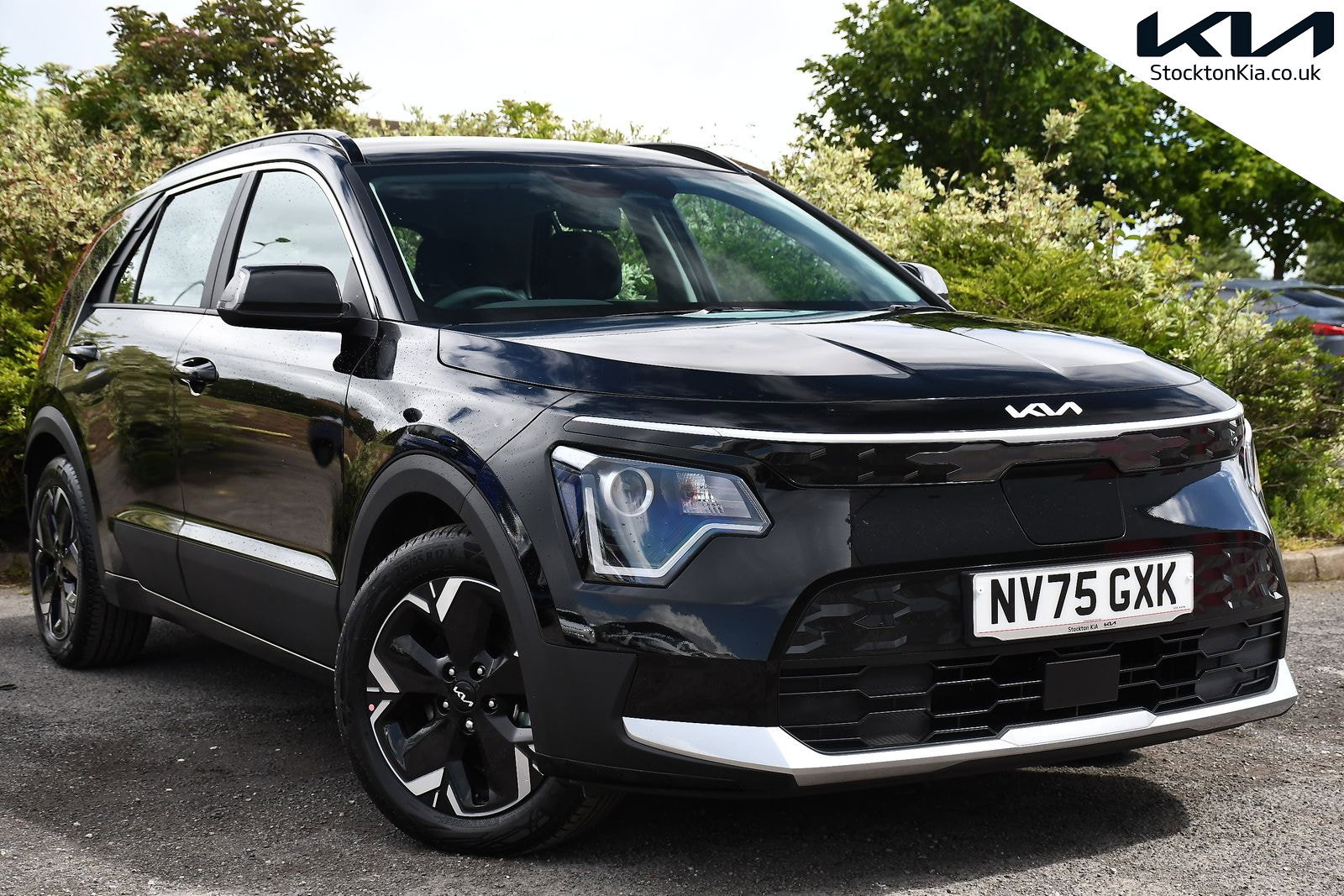2025 KIA NIRO for sale