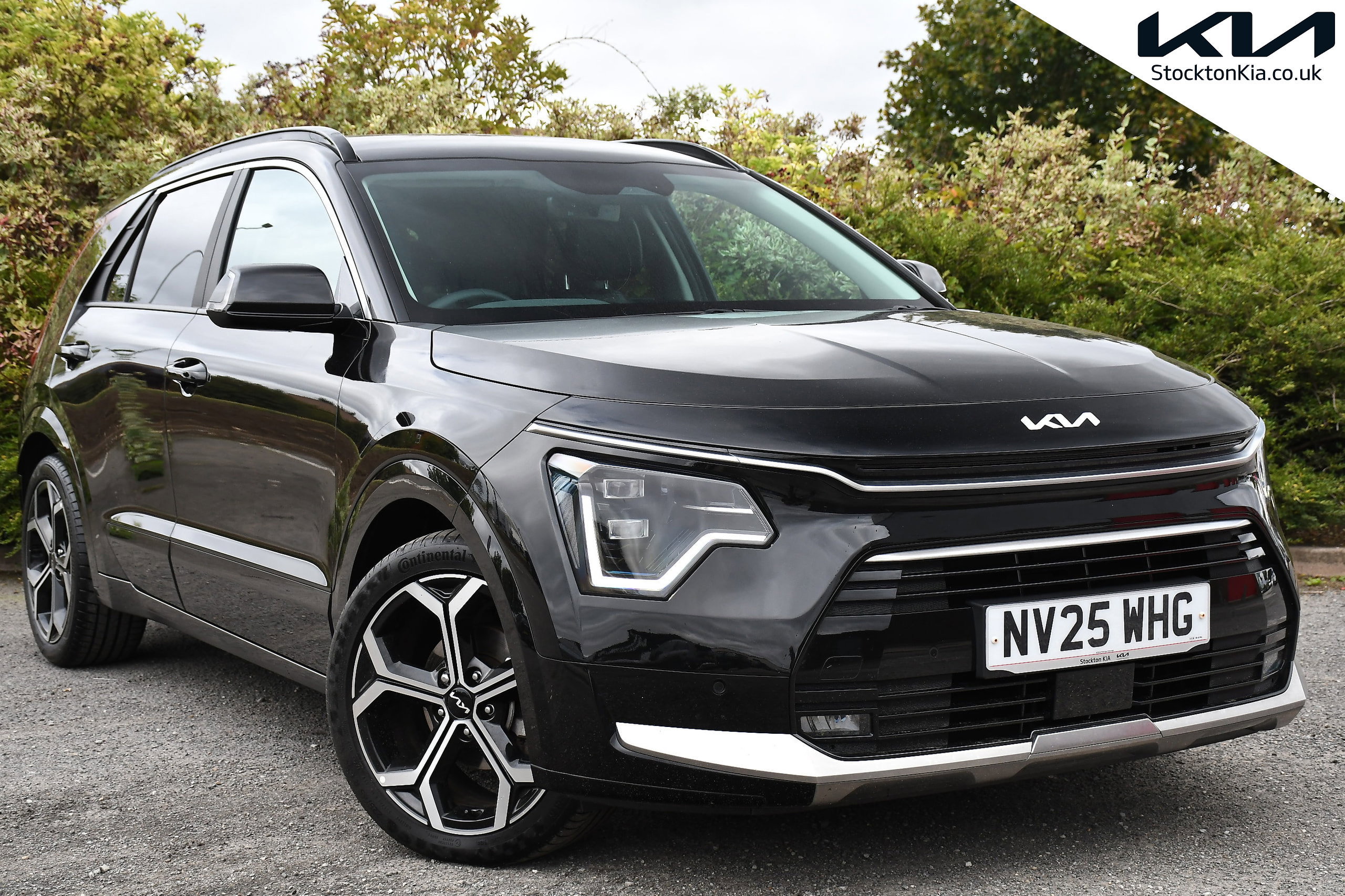 2025 KIA NIRO for sale